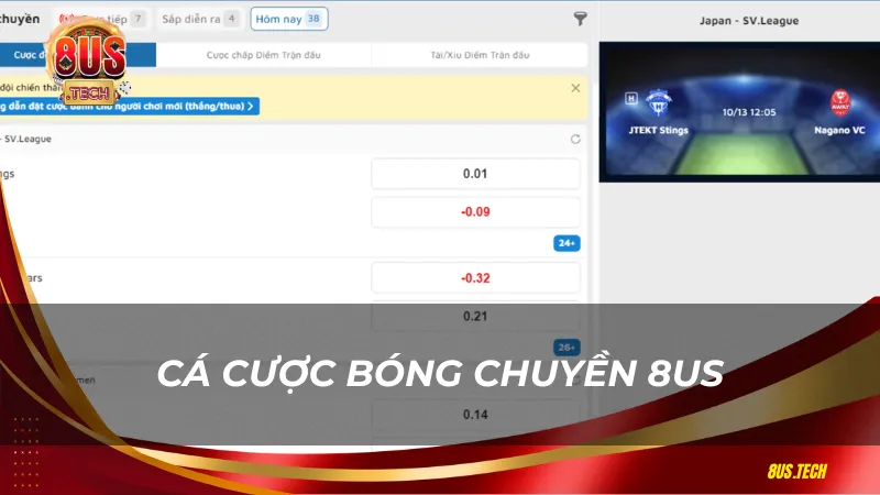 Cá cược bóng chuyển 8US