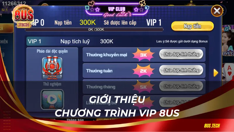 Giới thiệu chương trình VIP 8US